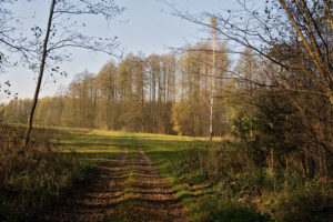 IMG_4658 as Smart Object-1_opt (1)